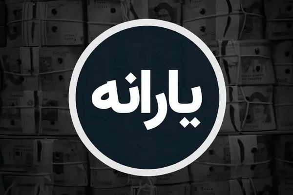 جزئیات جدید از حذف یارانه نقدی این خانوارها