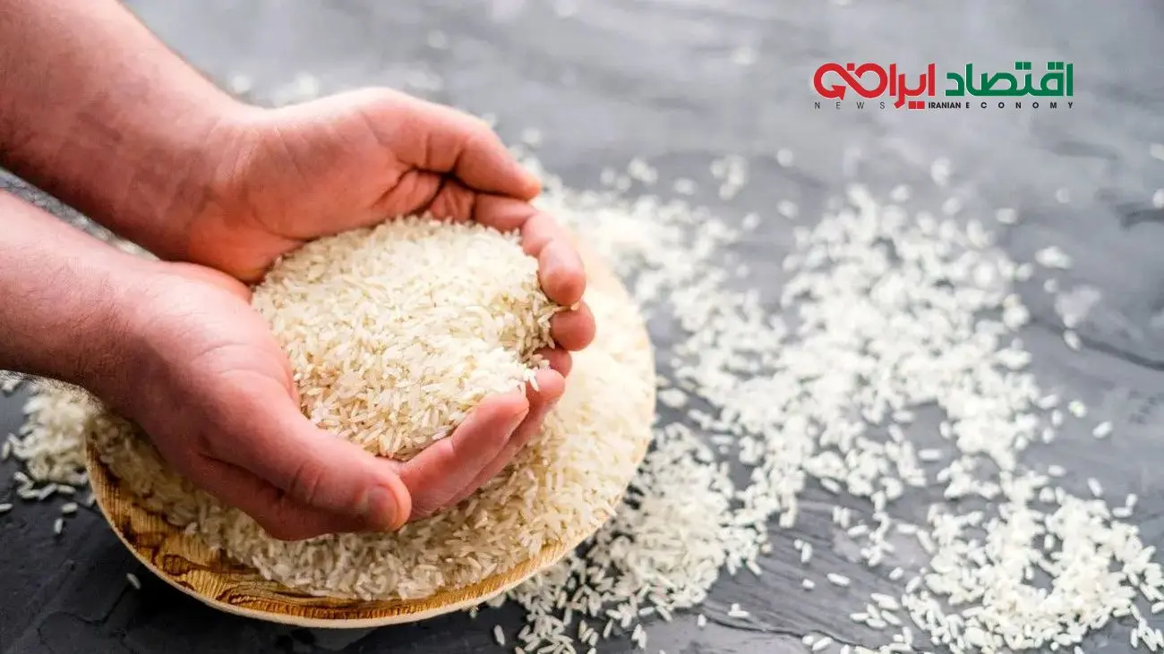 خبر شوکه‌کننده درباره برنج تنظیم بازار