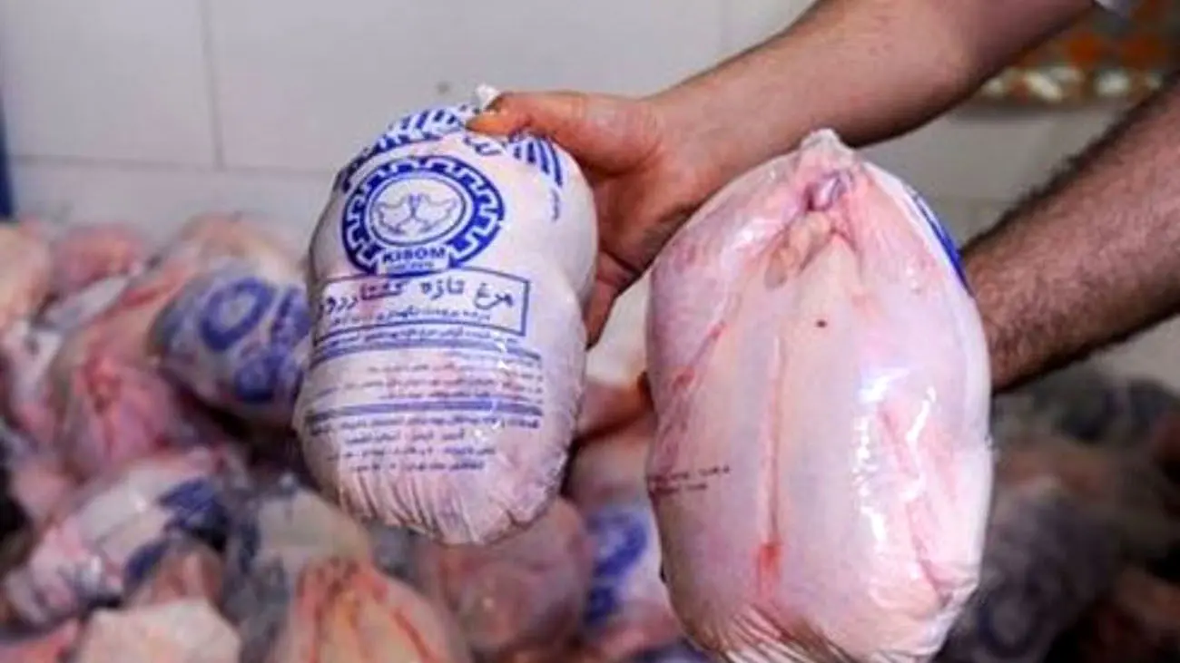 بعد از گوشت قرمز؛ حالا هشدار نسبت به گرانی و کمبود مرغ