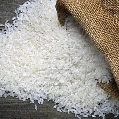 کاهش قیمت برنج ایرانی/ هر کیلو فقط 210 تا 220 هزار تومان!