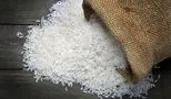 کاهش قیمت برنج ایرانی/ هر کیلو فقط 210 تا 220 هزار تومان!