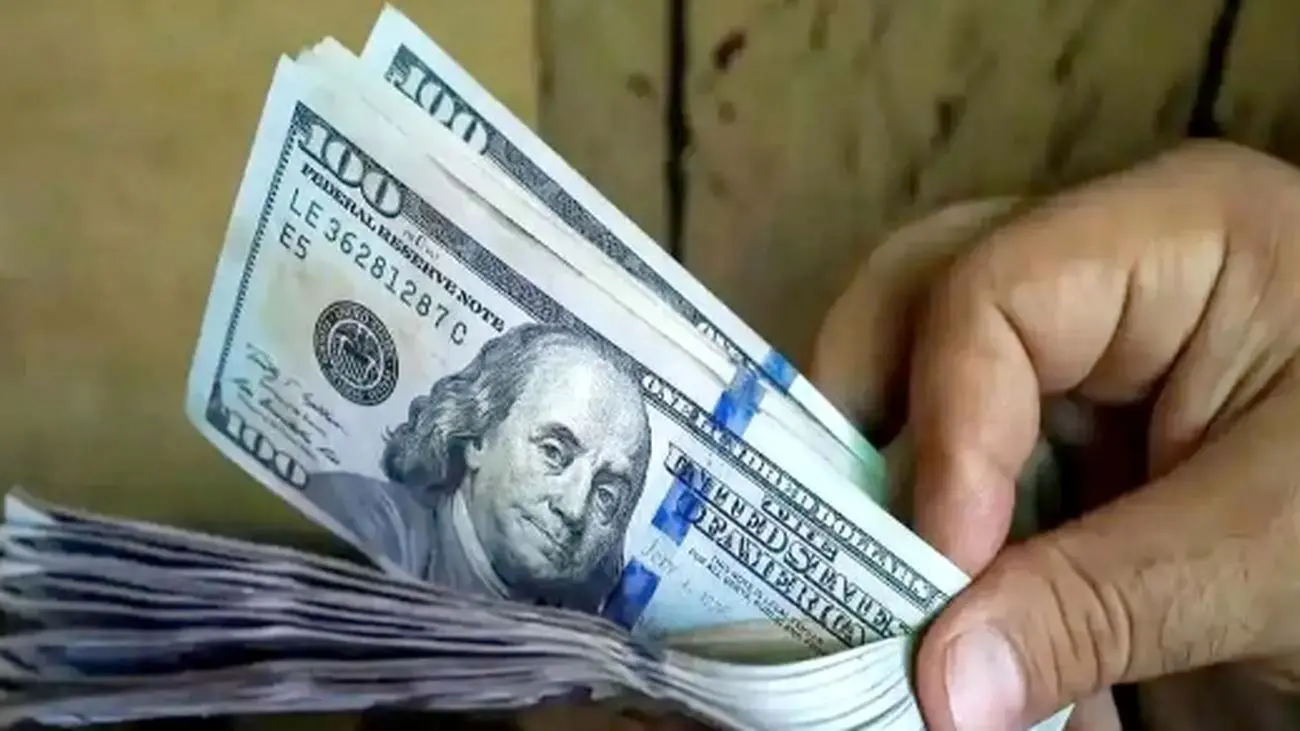 آیا دامنه نوسانات ارز قابل قبول است؟ نظر کارشناس اقتصادی