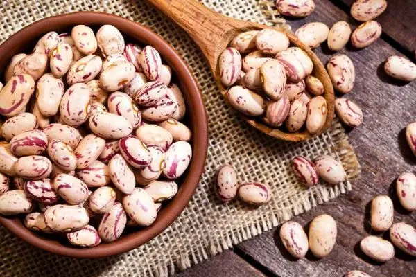 کاهش شگفت‌انگیز قیمت لوبیا چیتی/ امروز هر کیلو چند؟