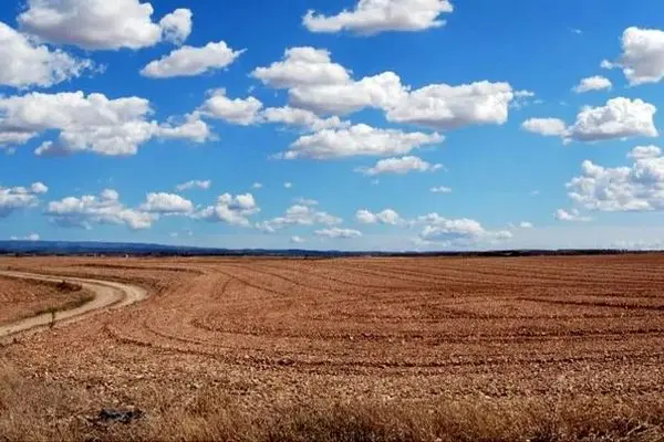 تنش میان دولت و شهرداری بالا گرفت