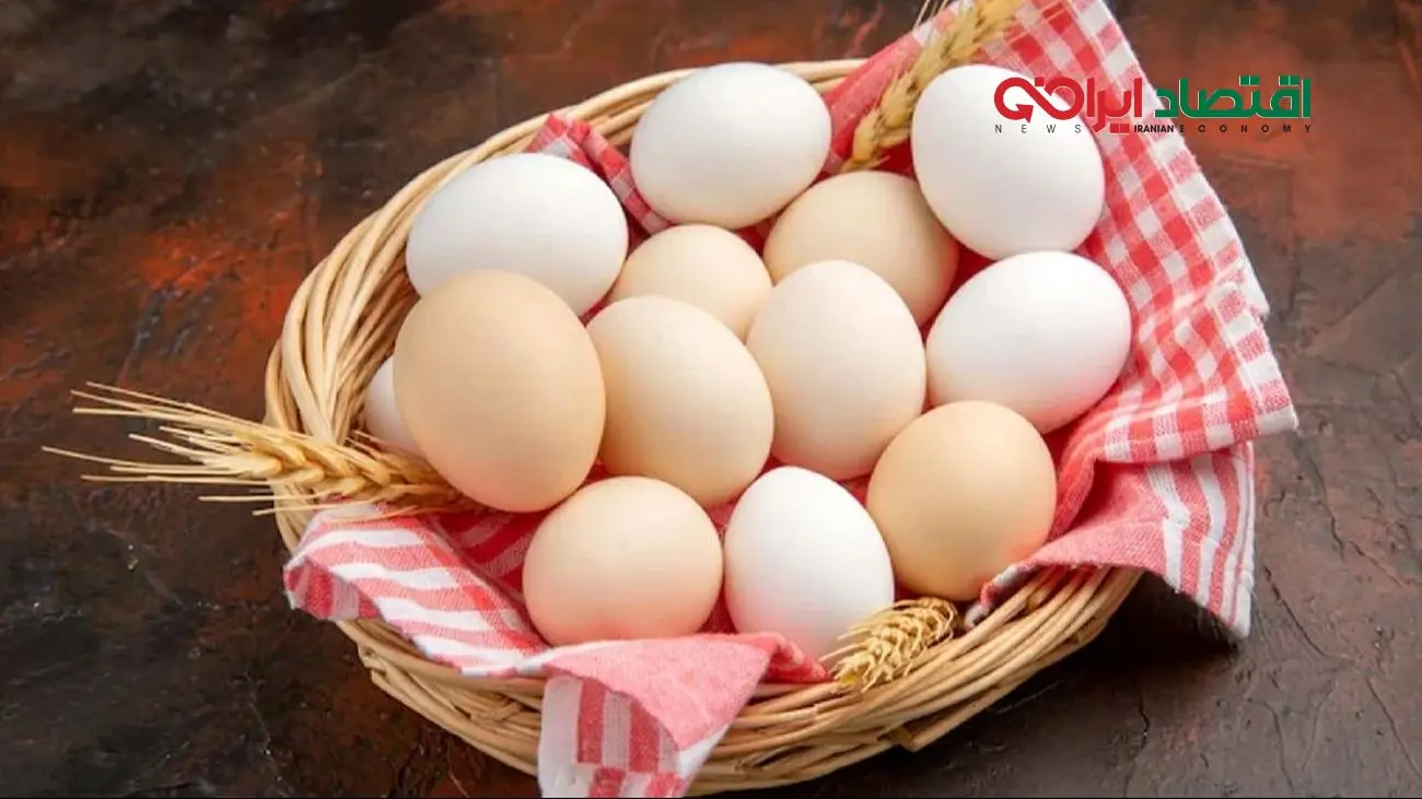 آخرین قیمت تخممرغ در بازار امروز