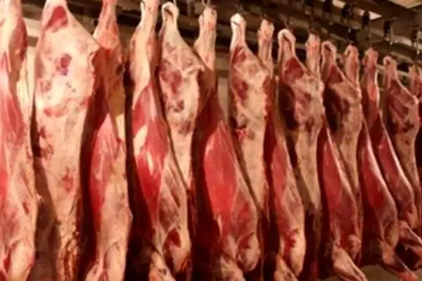 قیمت گوشت قرمز امروز ۲۶ آبان 1404 + جدول