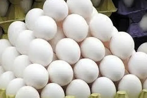 افزایش نجومی قیمت تخم مرغ! قیمت یک شانه تخم مرغ رکورد زد!