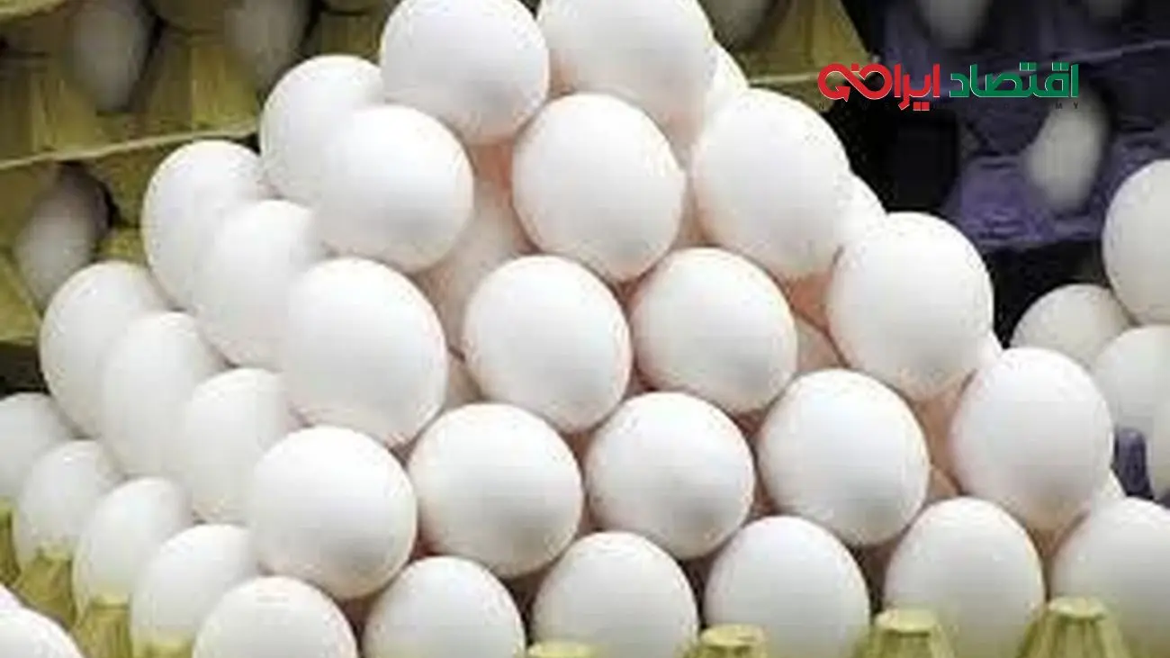 افزایش نجومی قیمت تخم مرغ! قیمت یک شانه تخم مرغ رکورد زد!