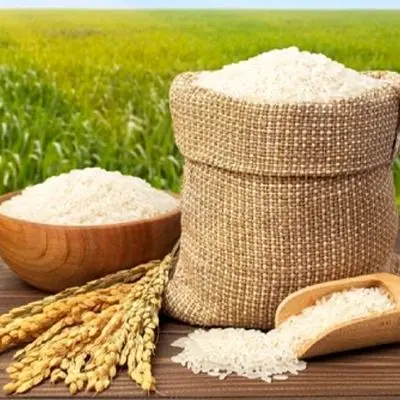 جدیدترین قیمت برنج ایرانی در شهریور ۱۴۰۴/ برنج هاشمی کیلویی چند؟
