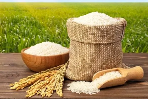جدیدترین قیمت برنج ایرانی در شهریور ۱۴۰۴/ برنج هاشمی کیلویی چند؟