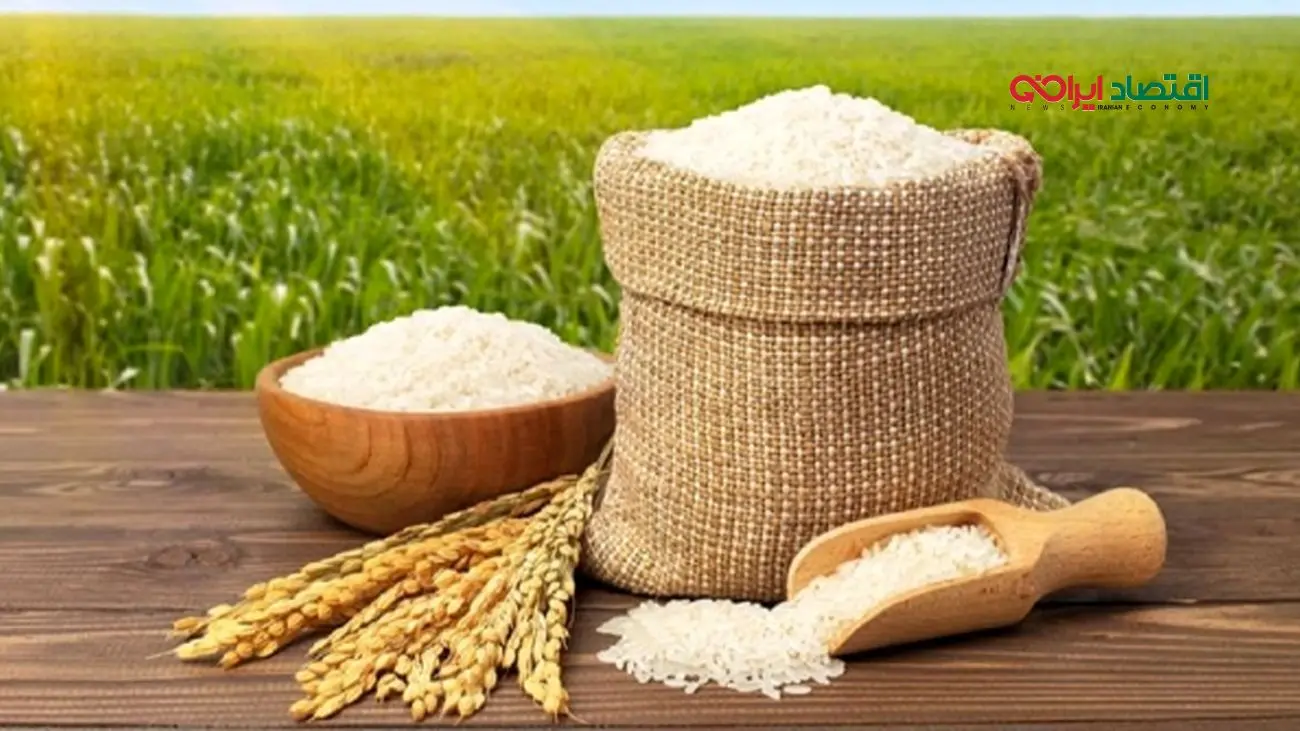 جدیدترین قیمت برنج ایرانی در شهریور ۱۴۰۴/ برنج هاشمی کیلویی چند؟