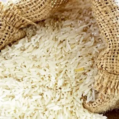 چرا قیمت واقعی برنج ایرانی همه را غافلگیر کرد؟