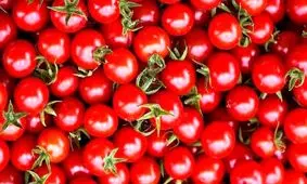 خبر خوش برای خریداران گوجه! تاریخ دقیقی که ارزان می‌شود