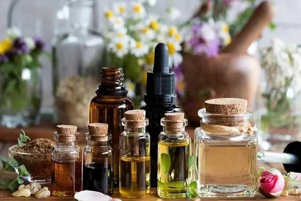 تشکیل کارگروه‌های تخصصی زنجیره ارزش گیاهان دارویی برای دیمزارها