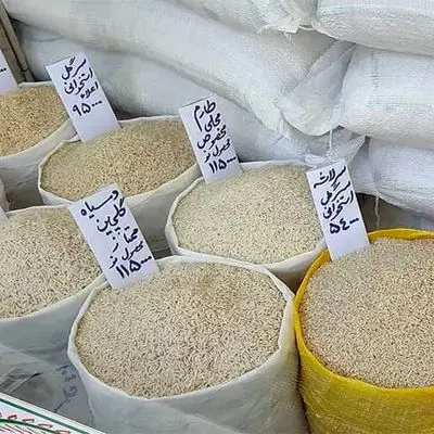 برنج ایرانی طلا شد !