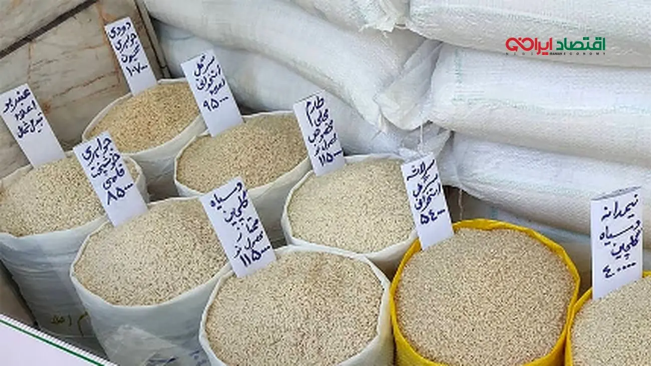 افشاگری قزلجه درباره افزایش ناگهانی قیمت برنج ایرانی