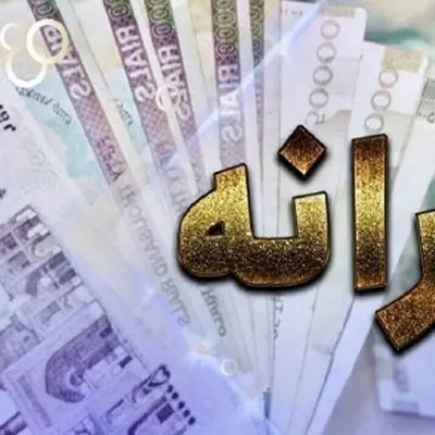 جزئیات حذف یارانه ها از زبان میدری وزیر تعاون + دلایل