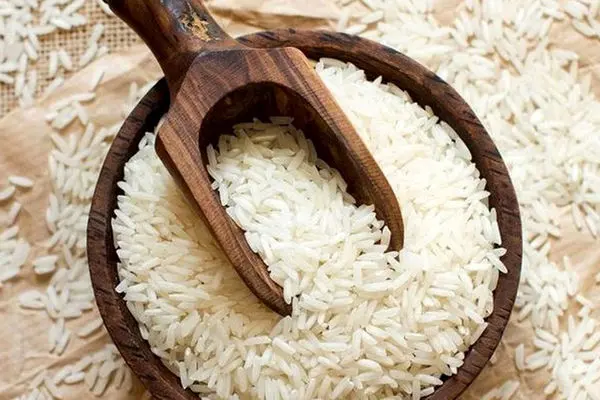 پشت پرده ورود برنج آلوده به کشور 