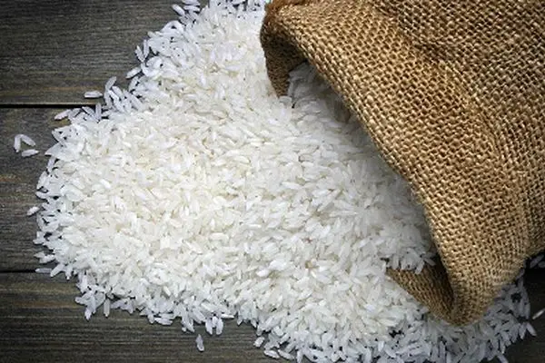 شوک بزرگ به بازار برنج؛ قیمت‌ها غیرقابل باور شد!
