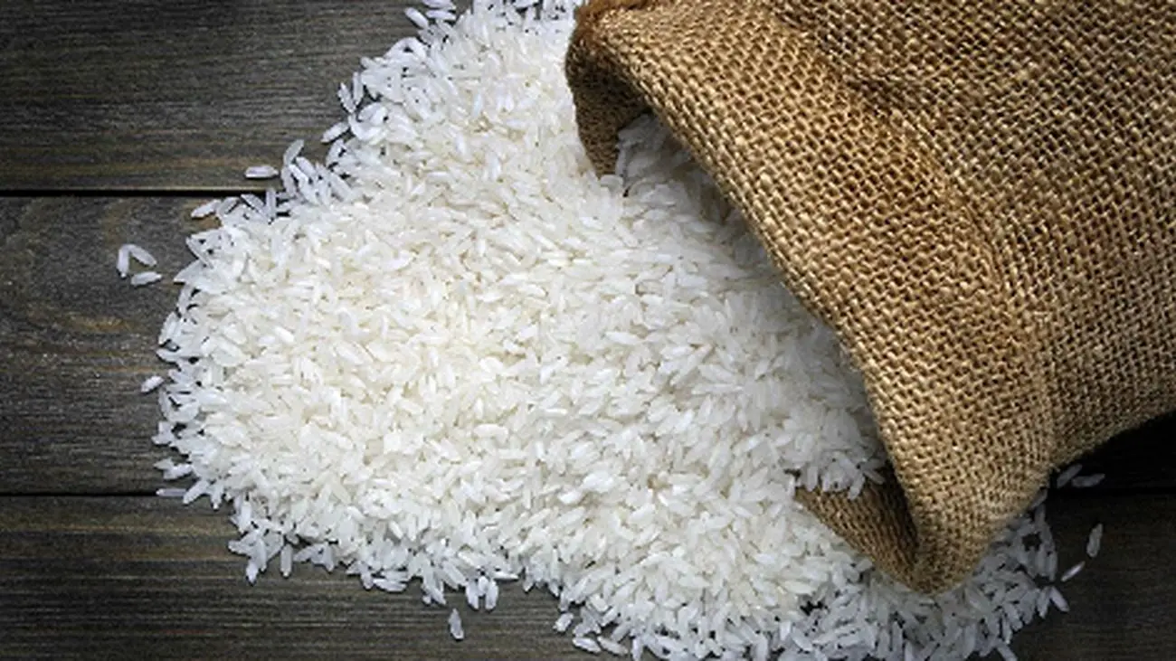 شوک بزرگ به بازار برنج؛ قیمتها غیرقابل باور شد!