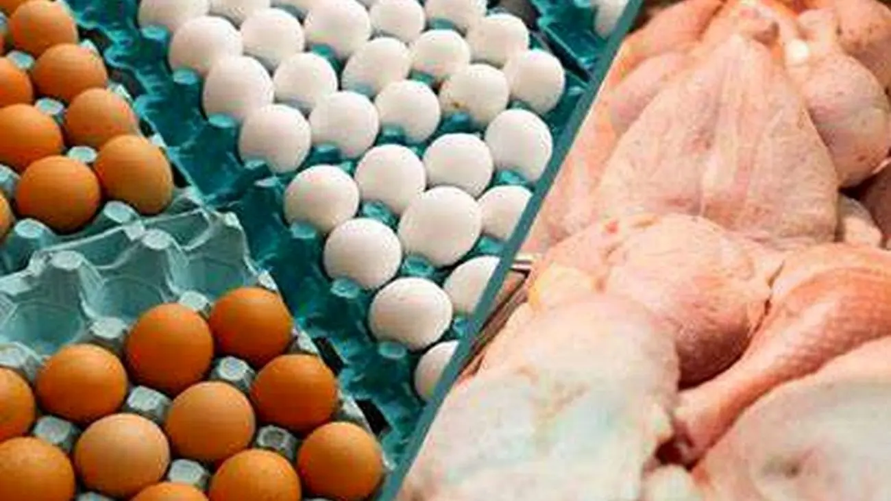 باز هم حرف گرانی وسط آمد / مرغ و تخم مرغ صدر جدول !