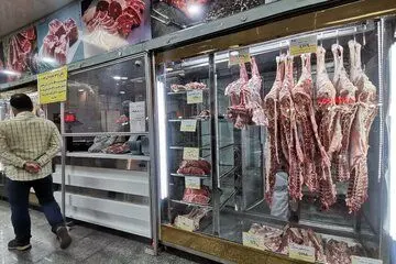 گوشت قرمز ارزان میشود؟