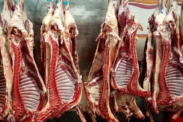 پشت پرده افزایش قیمت گوشت قرمز در ۱۴۰۴ 