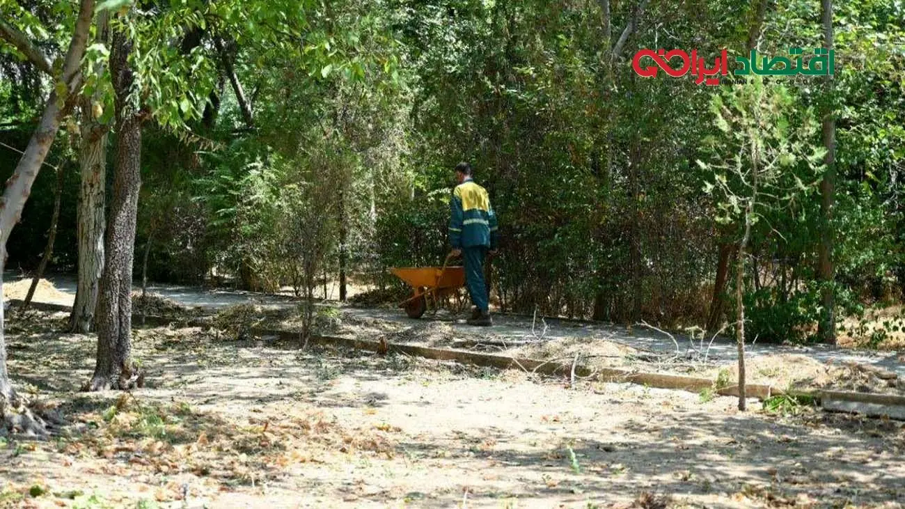 افزایش ۱۰ هزار مترمربع فضای سبز در شمال تهران بدون در نظر گرفتن منبع تامین آب/ پساب بهترین جایگزین برای فضای سبز