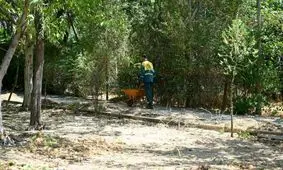 افزایش ۱۰ هزار مترمربع فضای سبز در شمال تهران بدون در نظر گرفتن منبع تامین آب/ پساب بهترین جایگزین برای فضای سبز