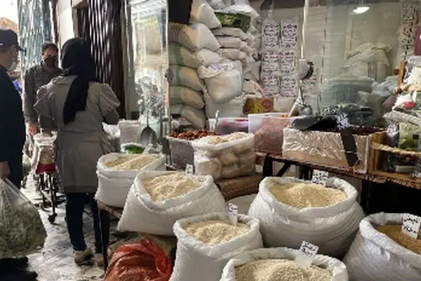 خرید یا نخریدن؟ قیمت جدید برنج ایرانی اعلام شد!
