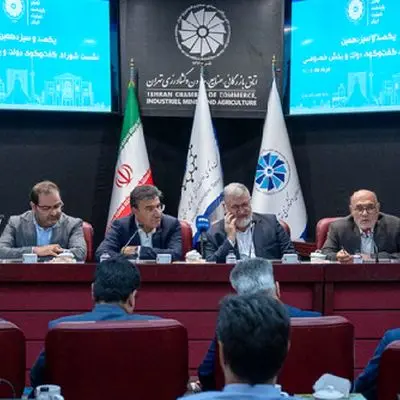 چند درصد از اتباع افغان در تهران زندگی می‌کنند؟ /  آمارهای جدید را ببینید!