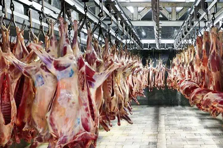 قیمت جدید گوشت امروز 22 شهریور / محموله گوشت گوسفندی از کنیا به ایران رسید