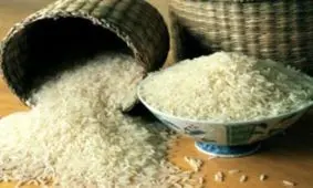 درهای واردات برنج باز شد؛ ممنوعیت فصلی لغو شد!
