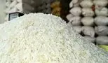 آماده باشید/ قیمت برنج زیر و رو می‌شود!