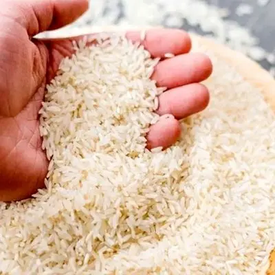 راز گرانی برنج فاش شد / فروش برنج پاکستانی به نام ایرانی در بازار
