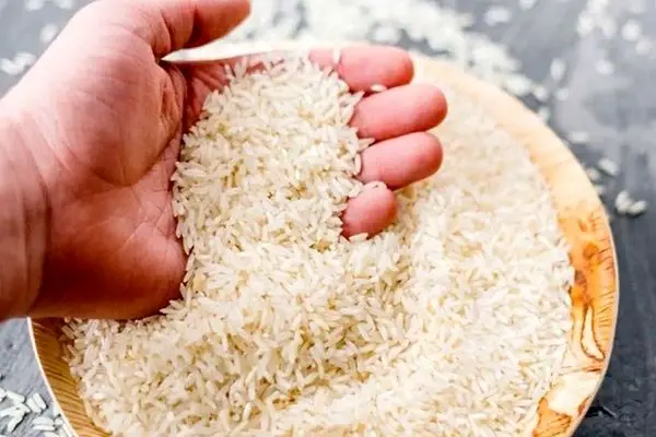 واردات برنج آغاز شد / کاهش قیمت ها در راه است ؟!