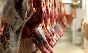 گوشت تنظیم بازاری کجا توزیع می‌شود؟/ قیمت گوشت به 385 هزار تومان رسید!
