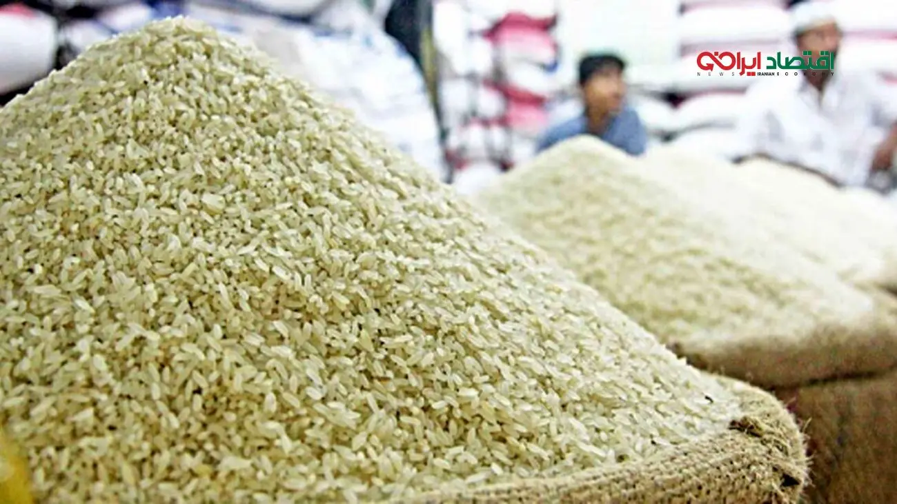 برنج مرداد ۱۴۰۴ گرانتر از همیشه! بررسی قیمت و دلایل