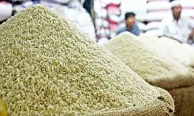 برنج مرداد ۱۴۰۴ گران‌تر از همیشه! بررسی قیمت و دلایل