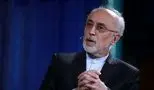 افشاگری جدید علی اکبر صالحی درباره یک ماجرای مهم