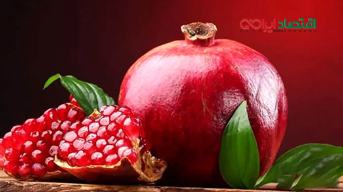 سورپرایز یلدایی بازیگران؛ استایل خیره‌کننده نرگس محمدی، پریناز ایزدیار و دیگر ستارگان معروف!