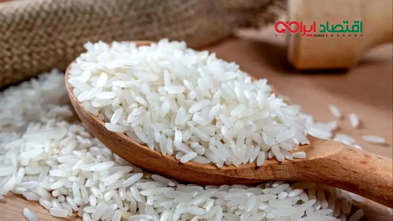 شوک بازار برنج امروز؛ قیمت‌ها از کنترل خارج شد