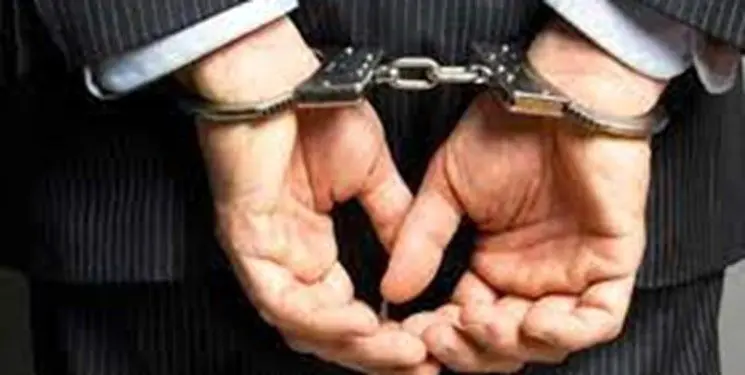 بازداشت مدیرعامل یک پتروشیمی