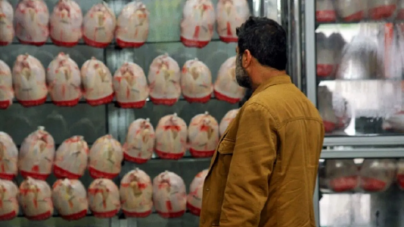 قیمت مرغ و گوشت همچنان بالا است