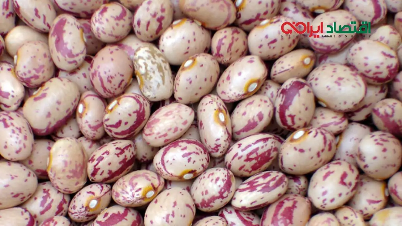 خوراک لوبیا با طعم گرانی / هزینه یک ماه خانواده فقط برای  مصرف خوراک  لوبیا چقدر می شود؟