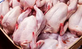 چه خبر از قیمت مرغ در آستانه شب یلدا؟!