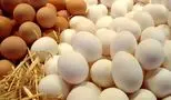 شوک به بازار/ قیمت رسمی تخم مرغ بالاخره اعلام شد!