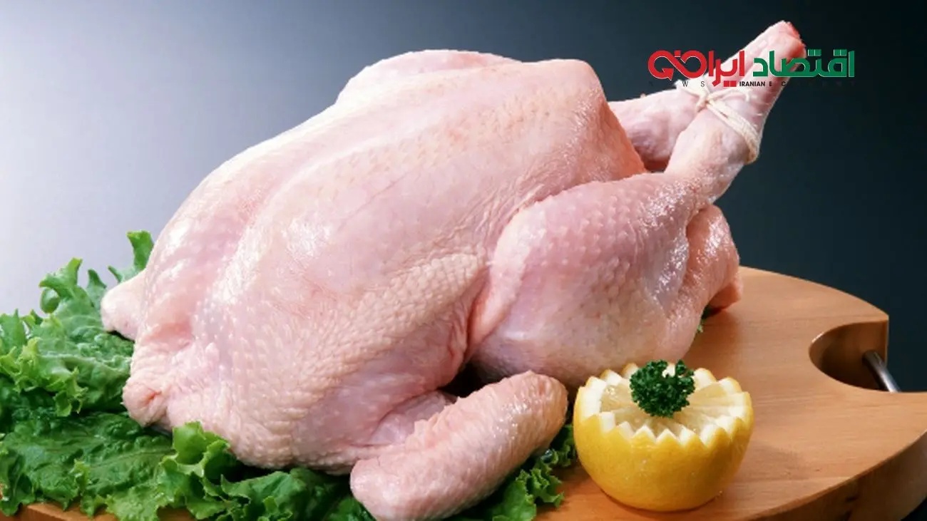 گوشت مرغ امروز کیلویی چند؟ قیمت ران و سینه مرغ ۱۴ مهر ۱۴۰۴