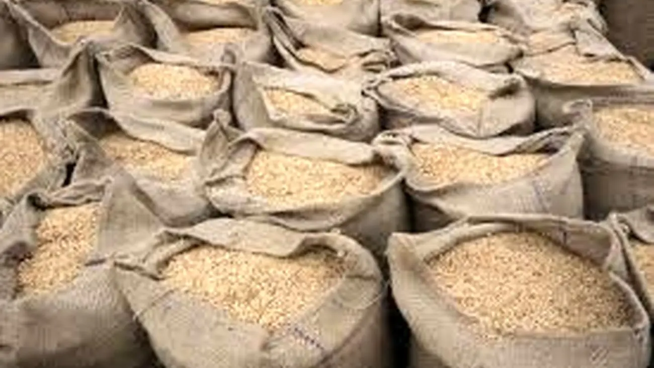 اتفاقی عجیب در بازار / معاوضه برنج با خودرو !