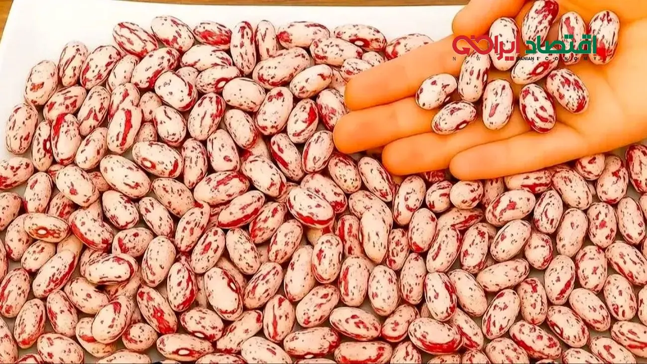 خبر خوش برای خریداران حبوبات؛ قیمت لوبیا چیتی مشخص شد!